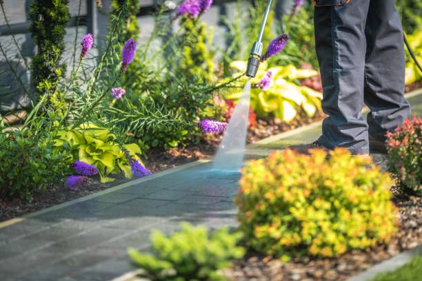Best Restaurant Pressure Washing  in Pion Hills, CA