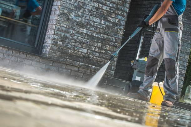 Best Animal Enclosure Cleaning  in Pion Hills, CA