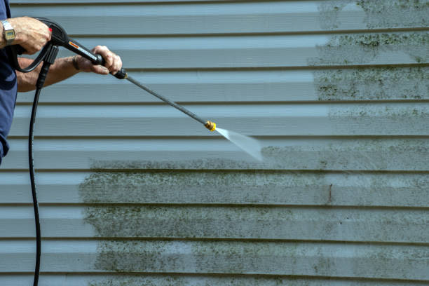Best Patio and Deck Pressure Washing  in Pion Hills, CA